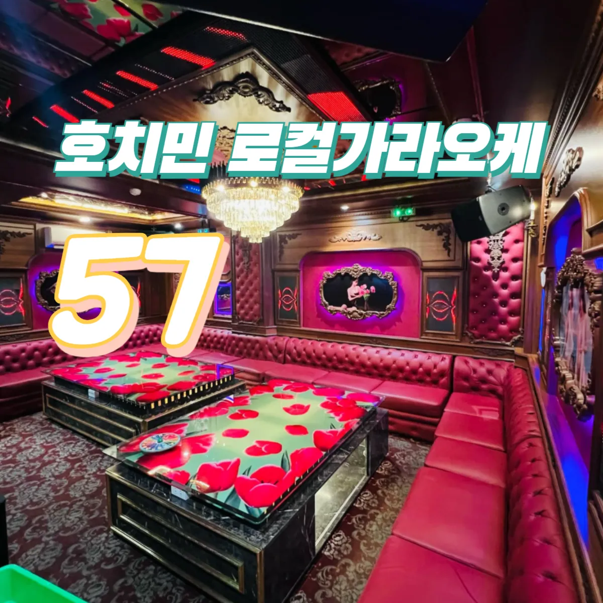 호치민 튤립 가라오케 57 KTV 수질·수량 최고  (1군)